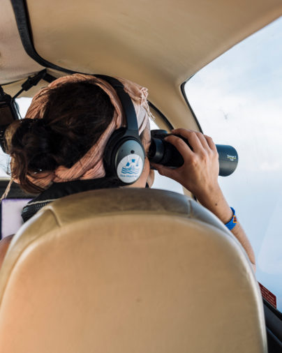 Search for boats in the Search and Rescue Zone over the Central Mediterranean, 2019, Mediterranean, Europe