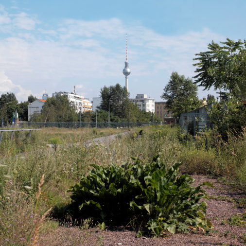 Last vacant lots in Berlin the increasingly soft new buildings.