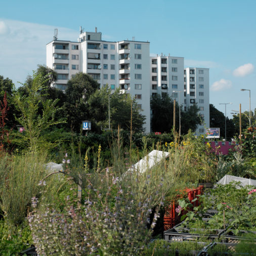 Temporary use of urban land