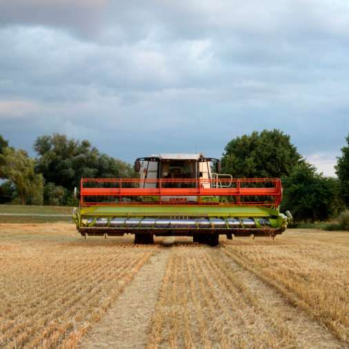 Grain harvest in northern Saxony.